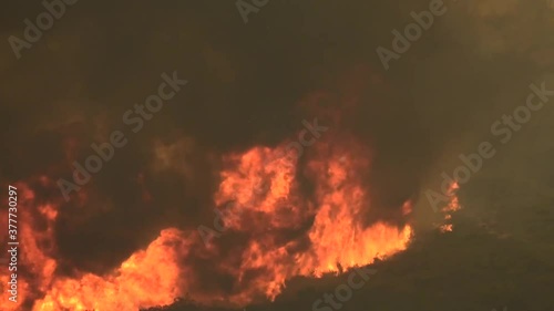 Wallpaper Mural large wildfire burning in heavy fuels Torontodigital.ca