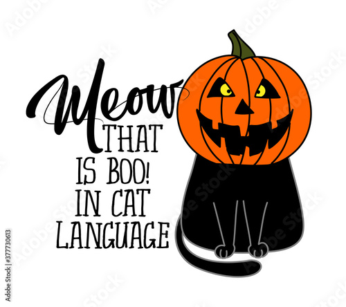 Meow, that is boo in cat language - funny quote design with cute black cat in pumpkin costume helmet. Adorable cat poster with lettering, good for t shirts, gifts, mugs or other pritable designs. photo