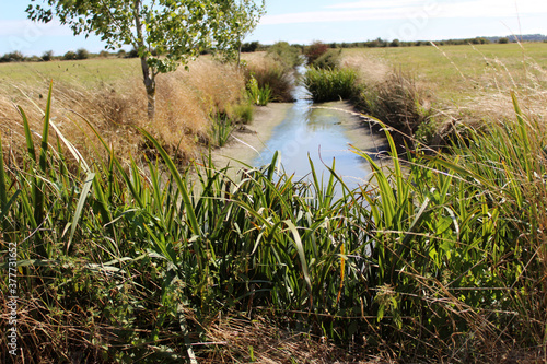 marais salant  /vendée