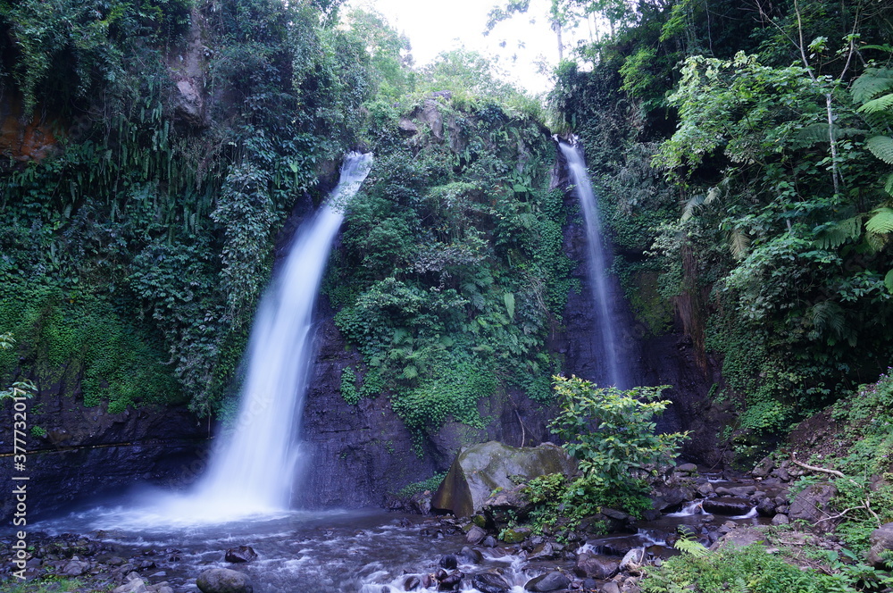 Fototapeta premium waterfall in the forest