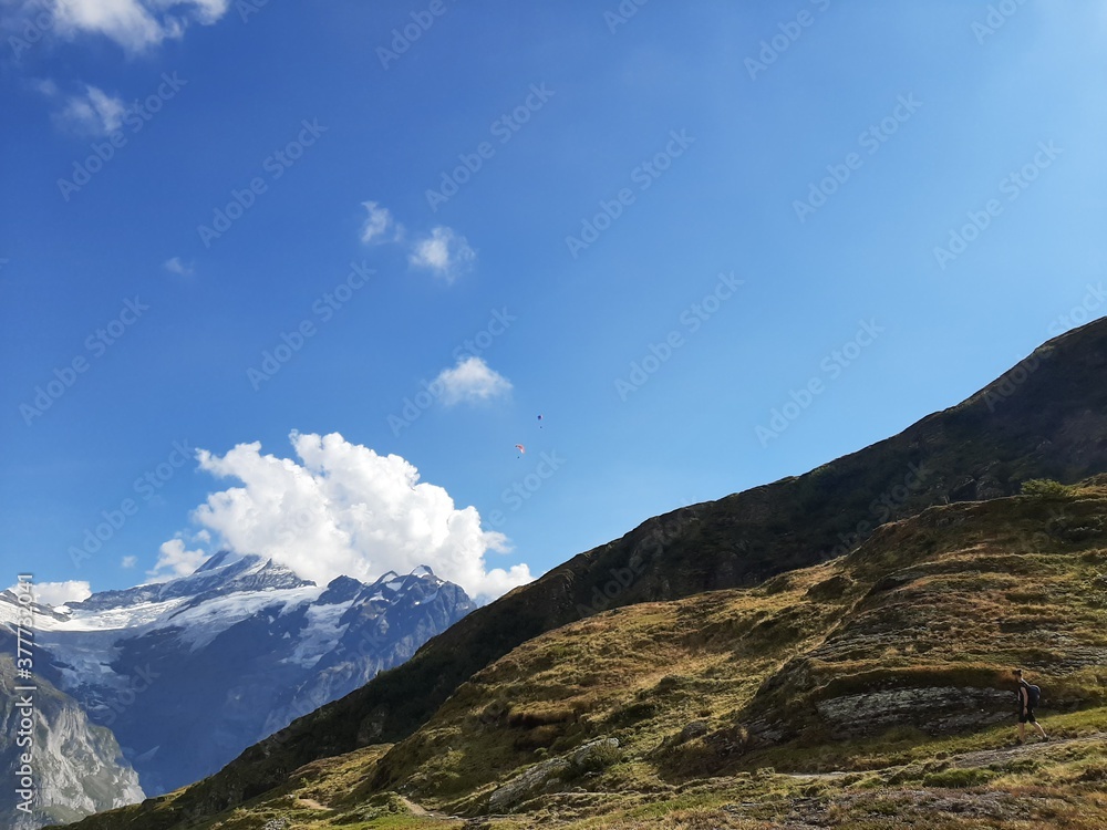 green yellow autumn hills in front of swiss alp mountains