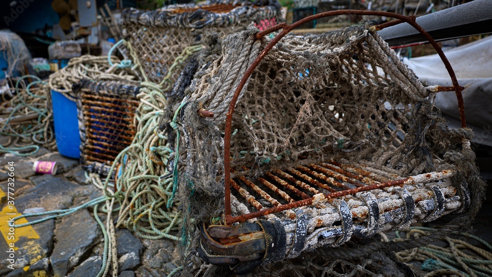 Lobster Pot in West Wales