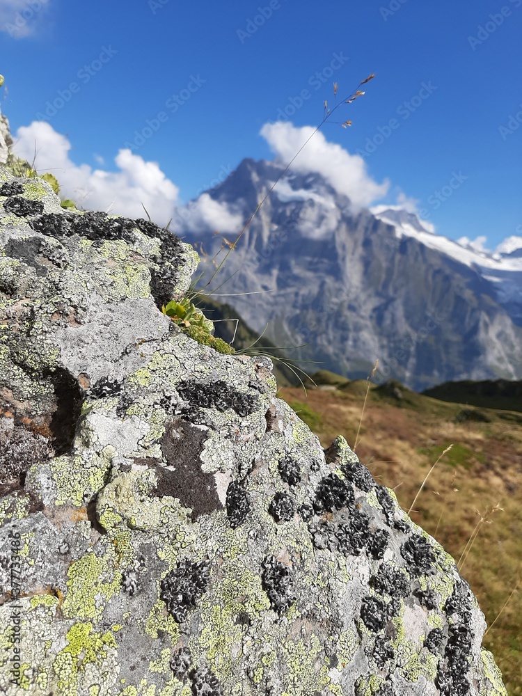 Fototapeta premium rocks in front of hills and swiss alp mountains
