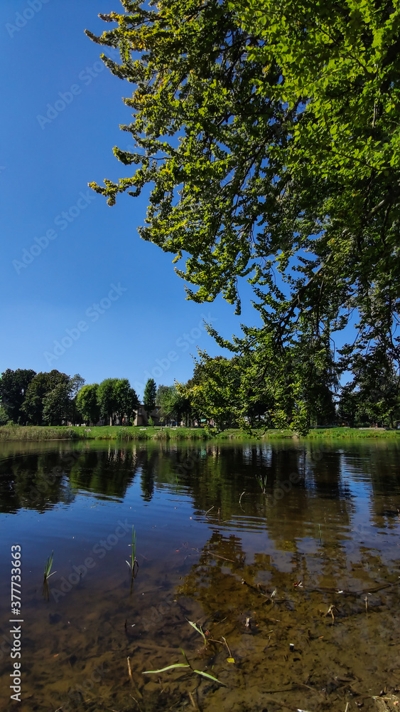 Perfect lake in the city park