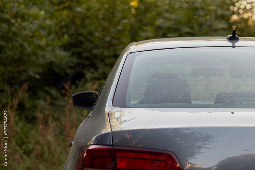 Back window of grey car parked on the street in summer sunny day, rear view. Mock-up for sticker or decals