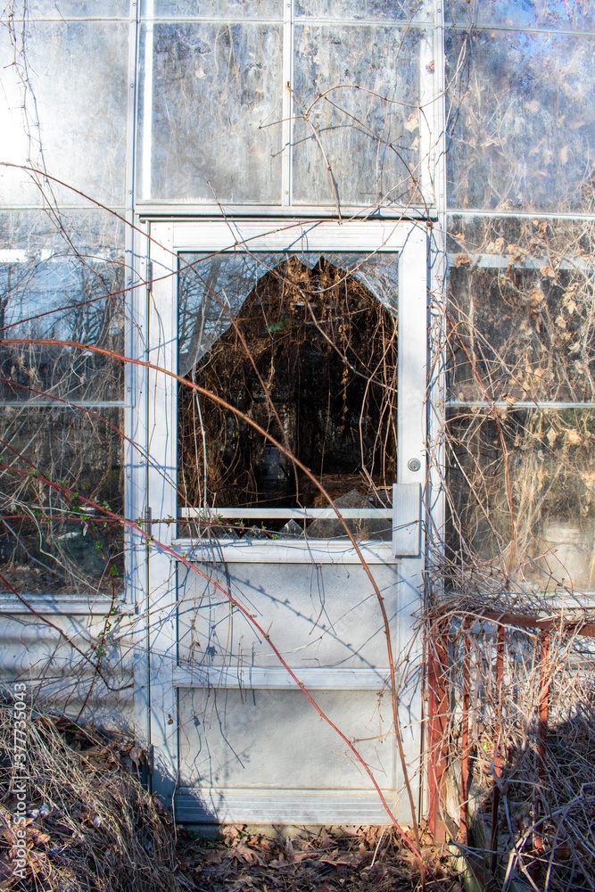 Looking Inside a Broken Glass Door At an Abandoned Greenhouse full of Dead Vines