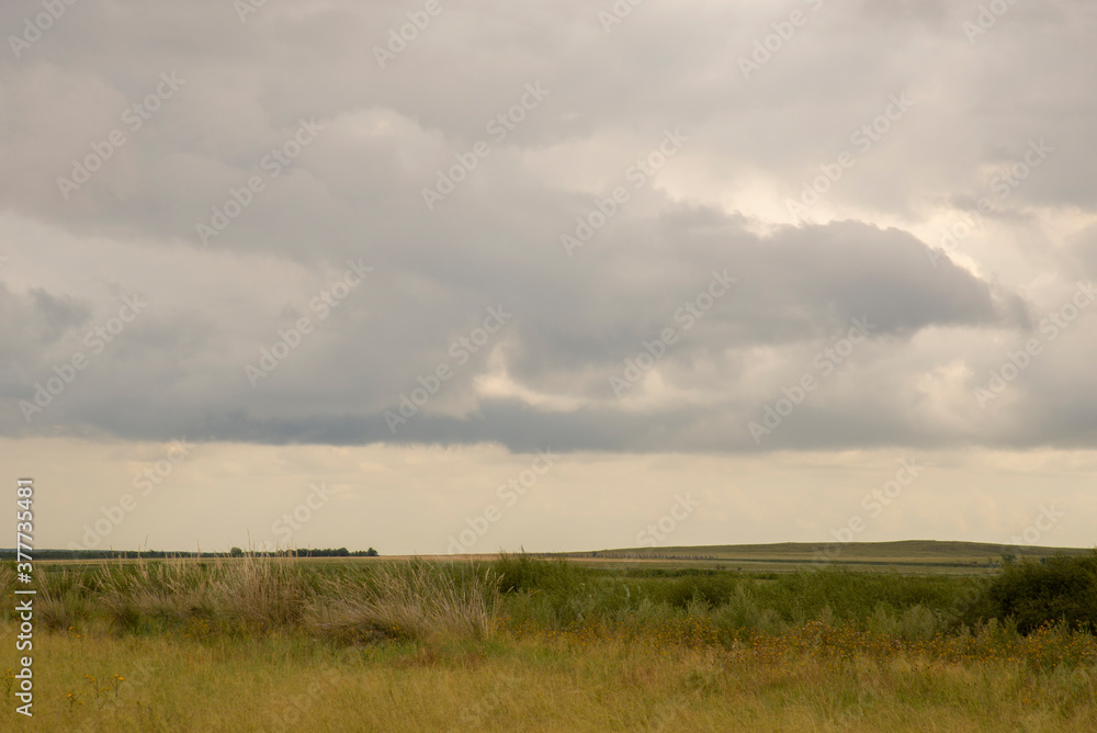 View of a summer field in inclement wind and gray clouds in the sky. View of a summer field in inclement wind and gray clouds in the sky.