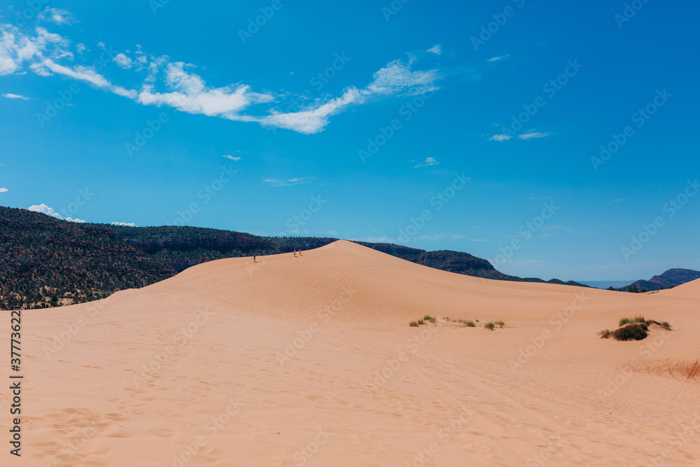 Fototapeta premium Pink Sands