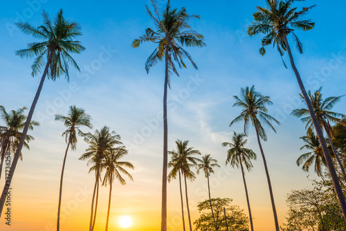 Sunset with palm trees with colorful sunset sky, landscape of palms on island © Pavlo Vakhrushev