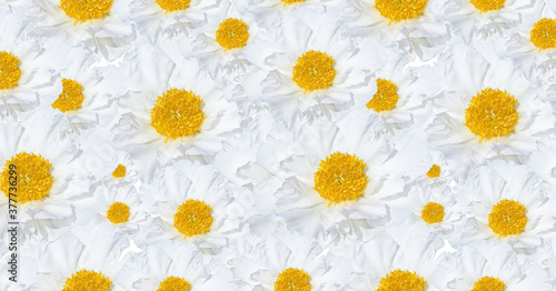 Floral pattern of white peonies with yellow centers.