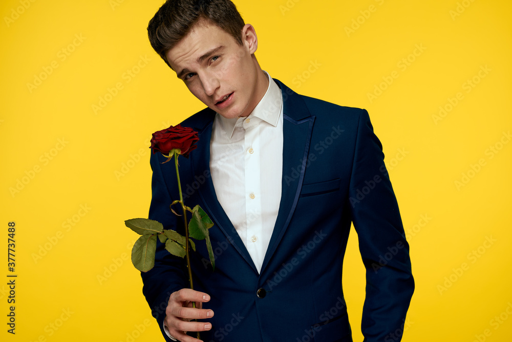 Gentleman in classic suit on yellow background with red rose romance Gentleman in classic suit on yellow background with red rose romance