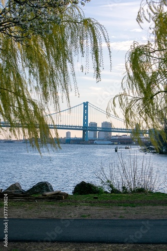 Looking Through Bright Green Trees at the Ben Franklin Bridge From the Penn Treaty Park