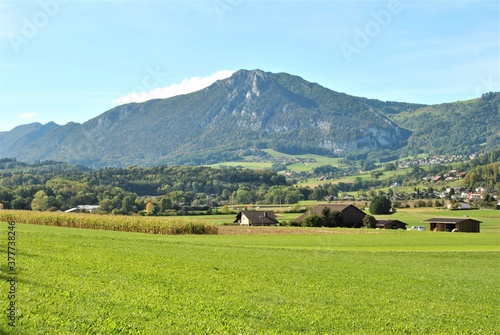 landscape in the mountains