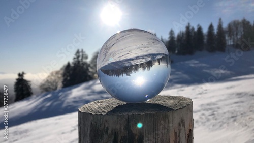 snow globe in winter