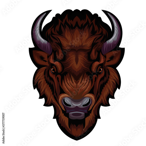 Mascot. Vector head of buffalo