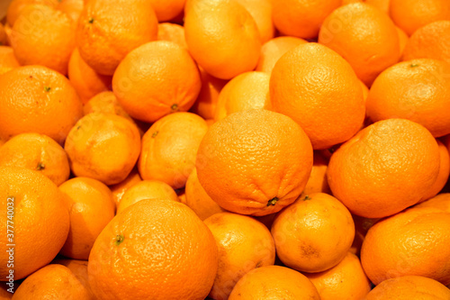fresh ripe oranges in large quantities for sale
