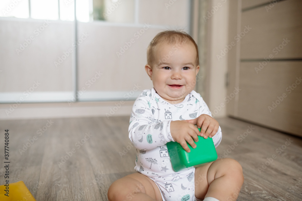 Little baby crawls on the floor of the house and plays with colorful cubes
Little baby crawls on the floor of the house and plays with colorful cubes