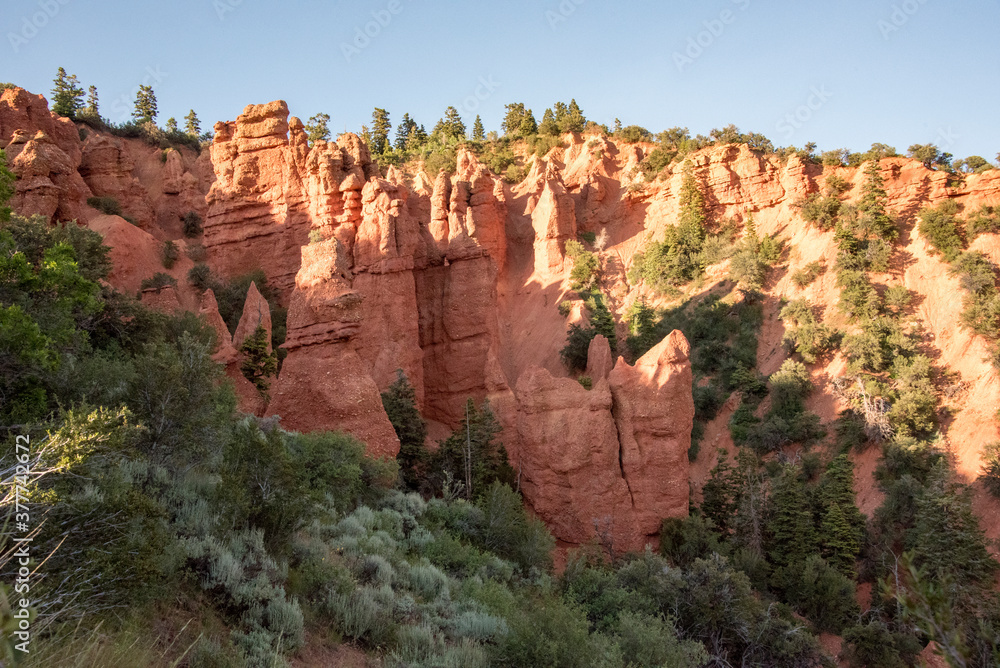 Incredible red rock hoodoos tucked in to a forest landscape