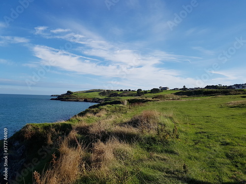 Irish sea shore and its green grass