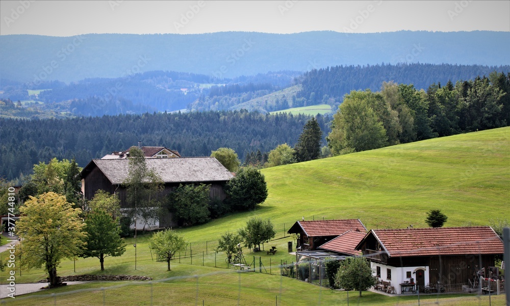 Bayerischer Wald Bayerischer Wald