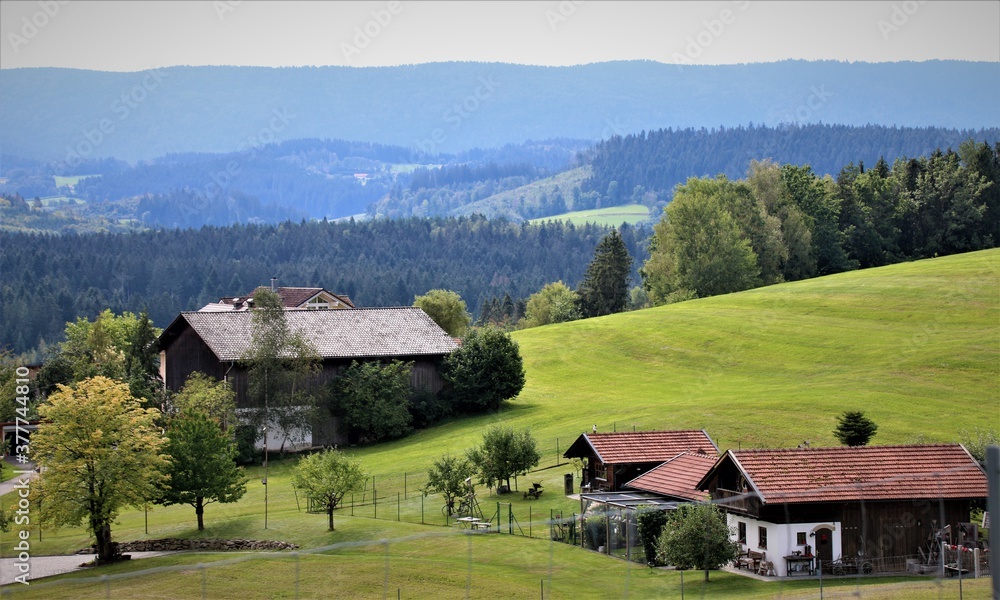 Bayerischer Wald