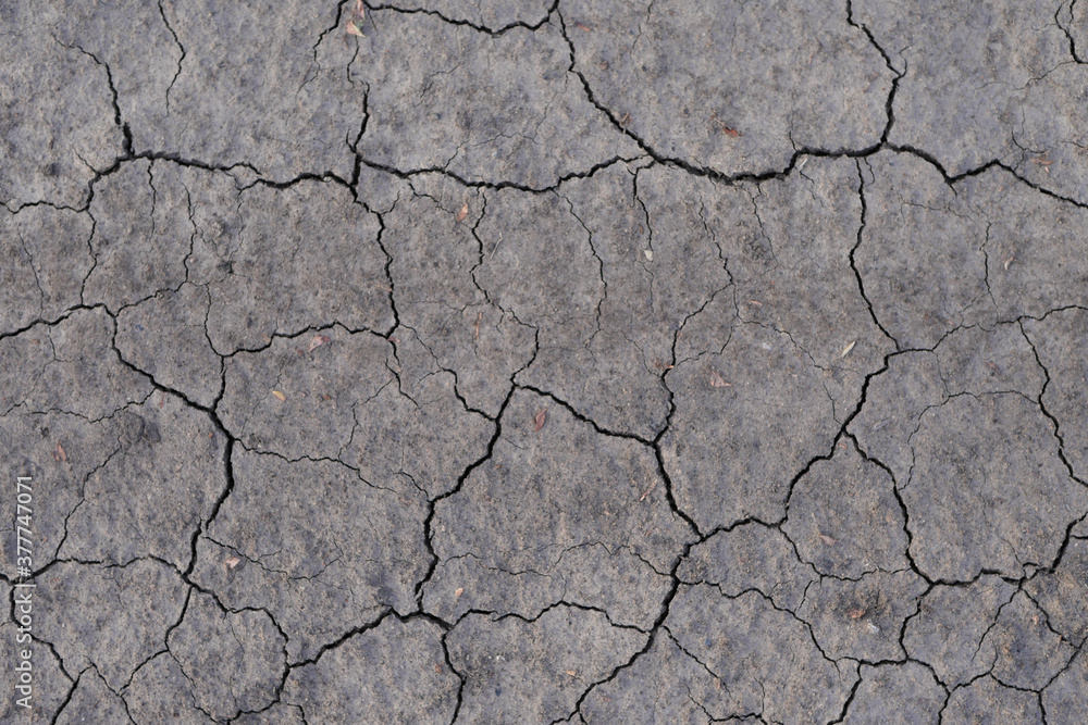 Fototapeta premium Cracked earth texture. Grey background. Damaged dry soil 
