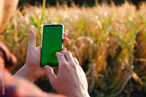 Farmer in plaid shirt hold phone with green screen. Checking field. Modern technology. Agriculture production 