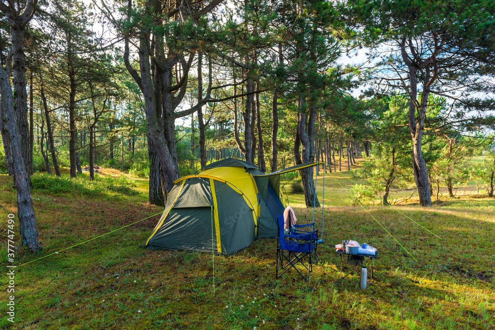 camping tent in a pine forest by the sea