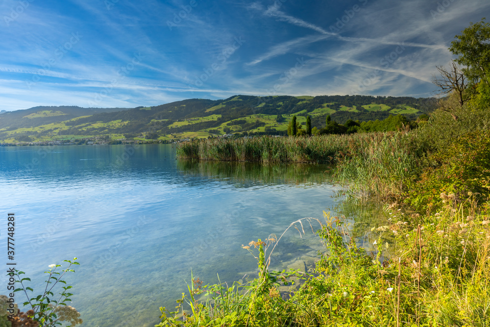 beautiful landscapes alomg the shores of the Upper Zurich Lake (Obersee), near Hurden, Seedam, Schwyz, Switzerland