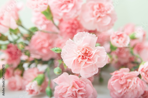 Fototapeta Naklejka Na Ścianę i Meble -  Beautiful Pink carnation bouquet on white background, gift card, holiday, good mood