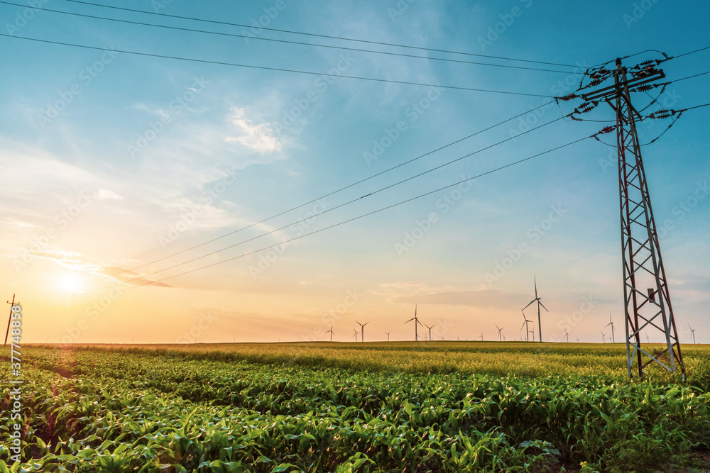 Obraz premium Renewable energy with wind farm turbines and generators in the sunset, beautiful landscape 