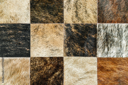 Canvastavla Macro closeup of cowhide patchwork