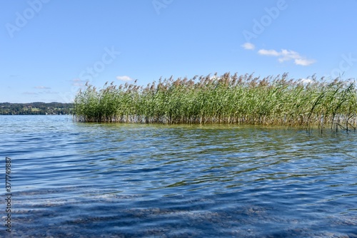 grass and water
