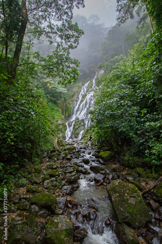 waterfall in the forest © esdras