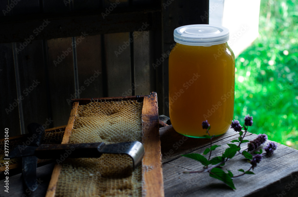 Jar of honey. Honey and honeycombs in the apiary. Beekeeper's workshop ...