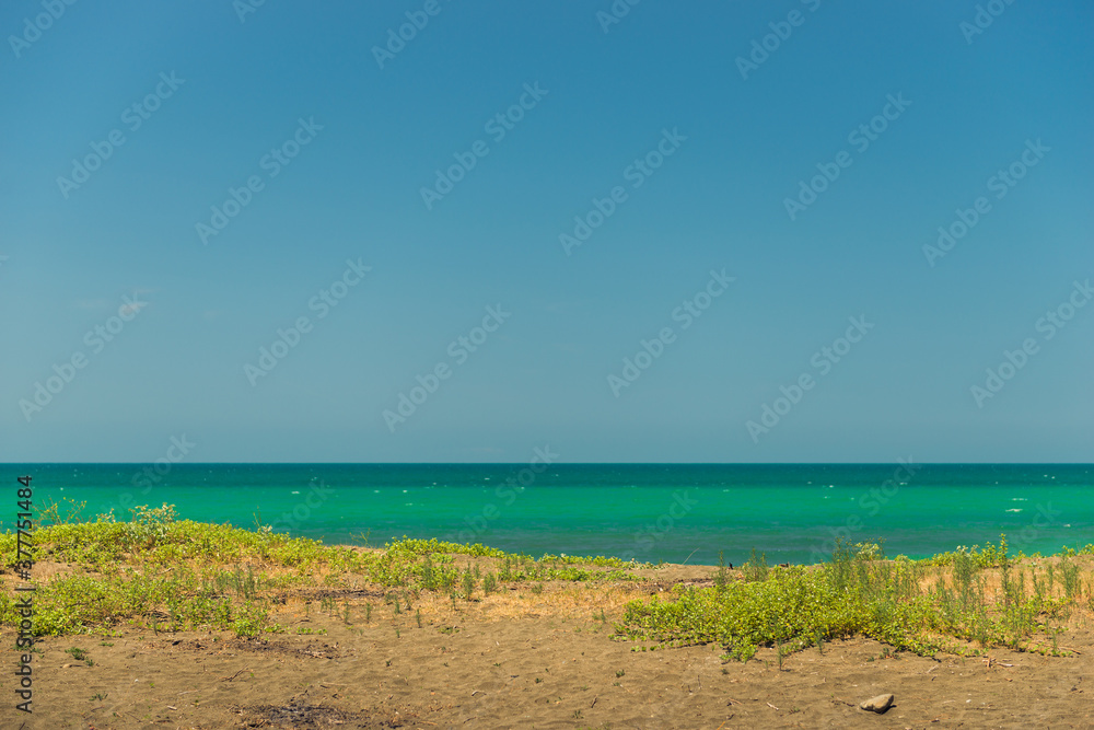 Sandy beach and view of the calm sea on a sunny day landscape Sandy beach and view of the calm sea on a sunny day landscape