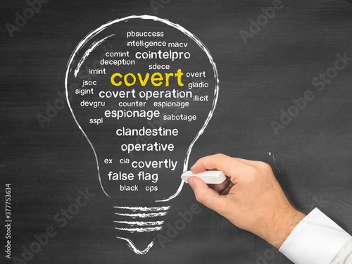 Canvas Print covert