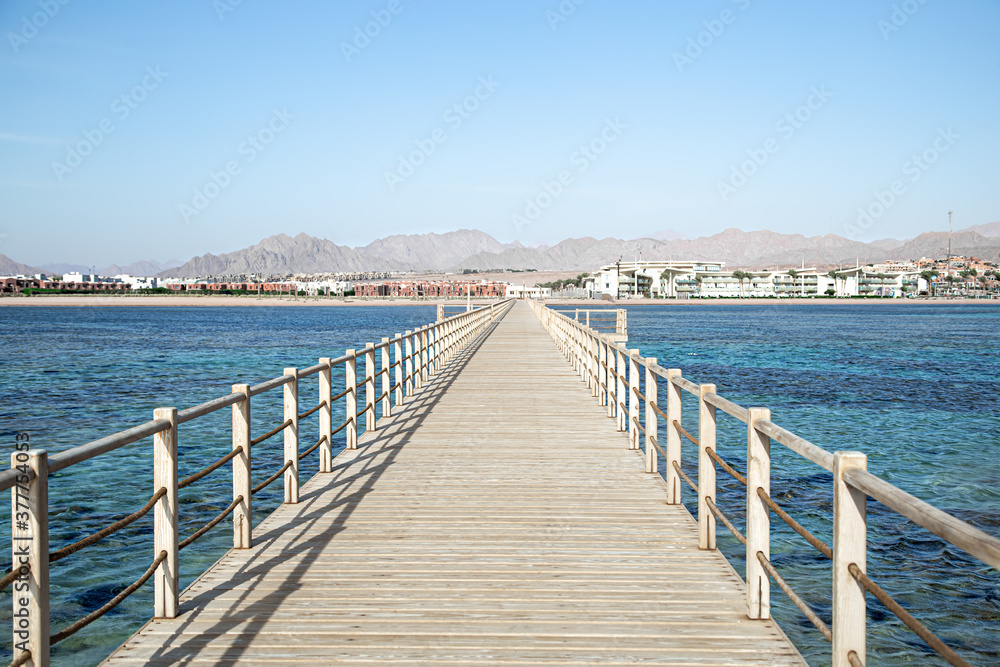 The background is a beautiful wooden long pier