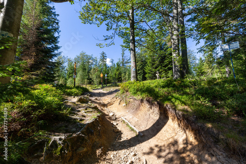 Crossing of mountain trails in Beskid S¹decki in Poland photo