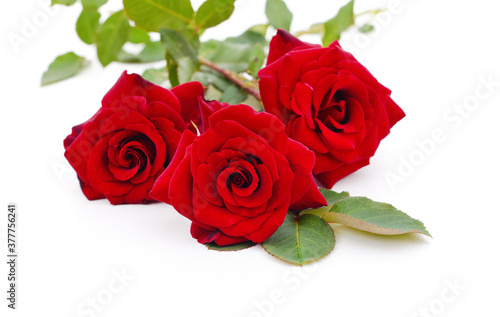 Fototapeta Naklejka Na Ścianę i Meble -  Bouquet red roses.