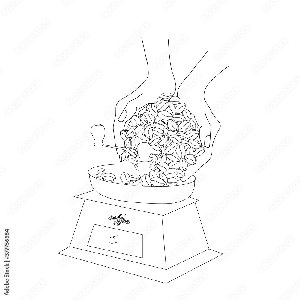 Hands pour coffee beans into a hand-held coffee grinder sketch. Art design stock vector illustration for product design, for packaging design, for coffee shop, for web, for print