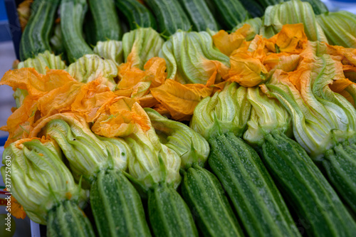 Young green zucchini vegetables with yellow flowers, healthy italian food