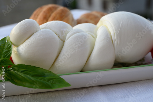 Fresh soft white italian cheese braid mozzarella buffalo made from Italian buffalo's milk by pasta filata method photo