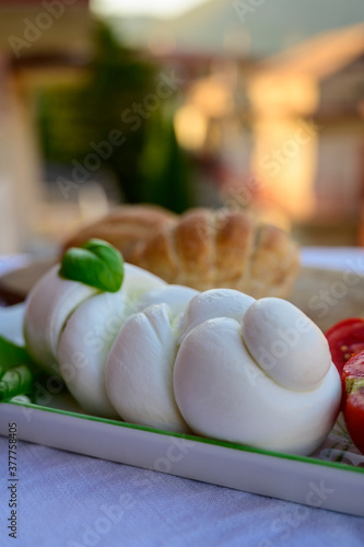 Fresh soft white italian cheese braid mozzarella buffalo made from Italian buffalo's milk by pasta filata method photo