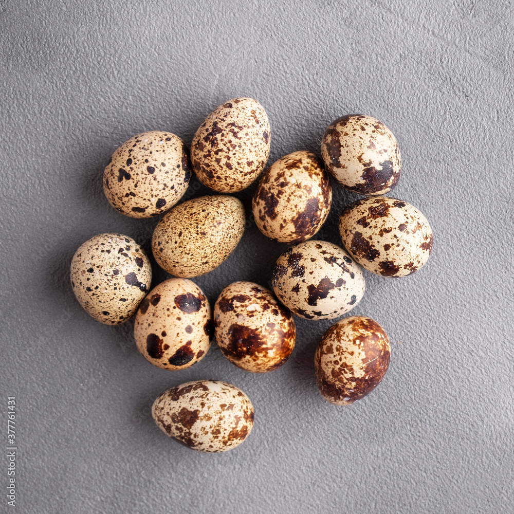 Closeup photo of quail eggs on gary background. Top view