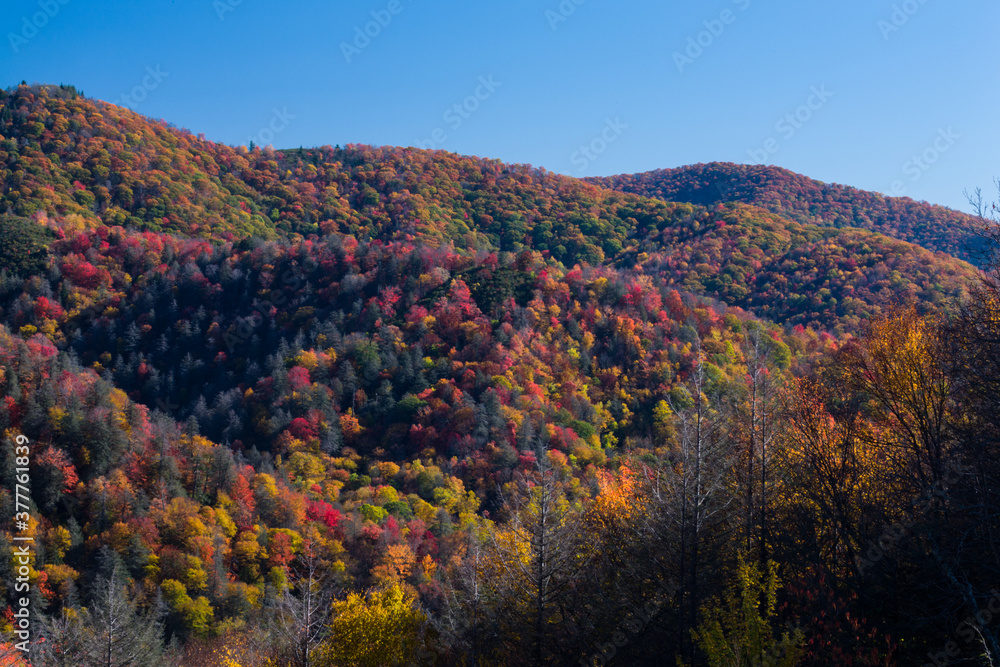 Autumn in the Great Smoky Mountains National Park Autumn in the Great Smoky Mountains National Park