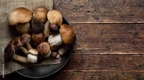 Fresh forest mushrooms /Boletus edulis (king bolete) / penny bun / cep / porcini in an old bowl / plate on the wooden dark brown table, top view background 