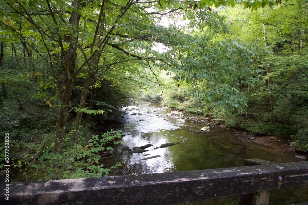Stream Stream
