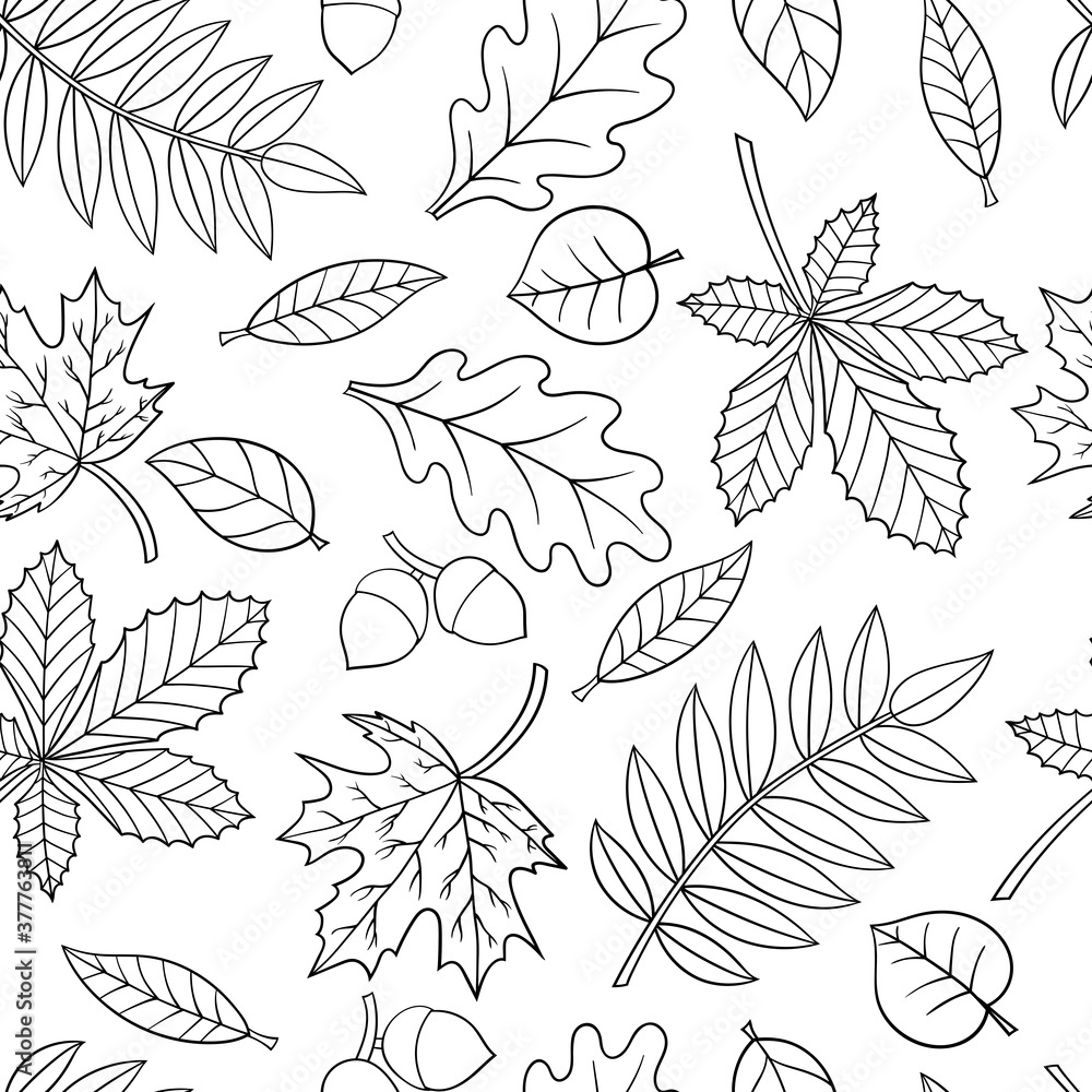 custom made wallpaper toronto digitalSeamless pattern with autumn leaves, coloring page