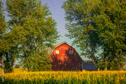 Red barn on a corn field © Andrew S.